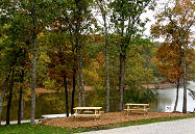 Communty Area Benches